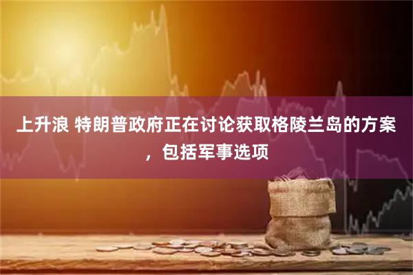 上升浪 特朗普政府正在讨论获取格陵兰岛的方案，包括军事选项