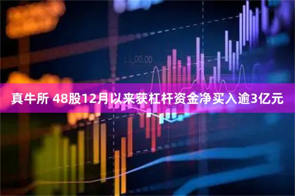 真牛所 48股12月以来获杠杆资金净买入逾3亿元